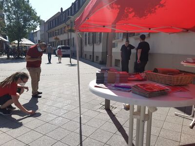 Gemeinsamer Wahlstand von SPD OV Rheinfelden und Jusos